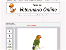 Tablet Screenshot of animalesexoticos.net